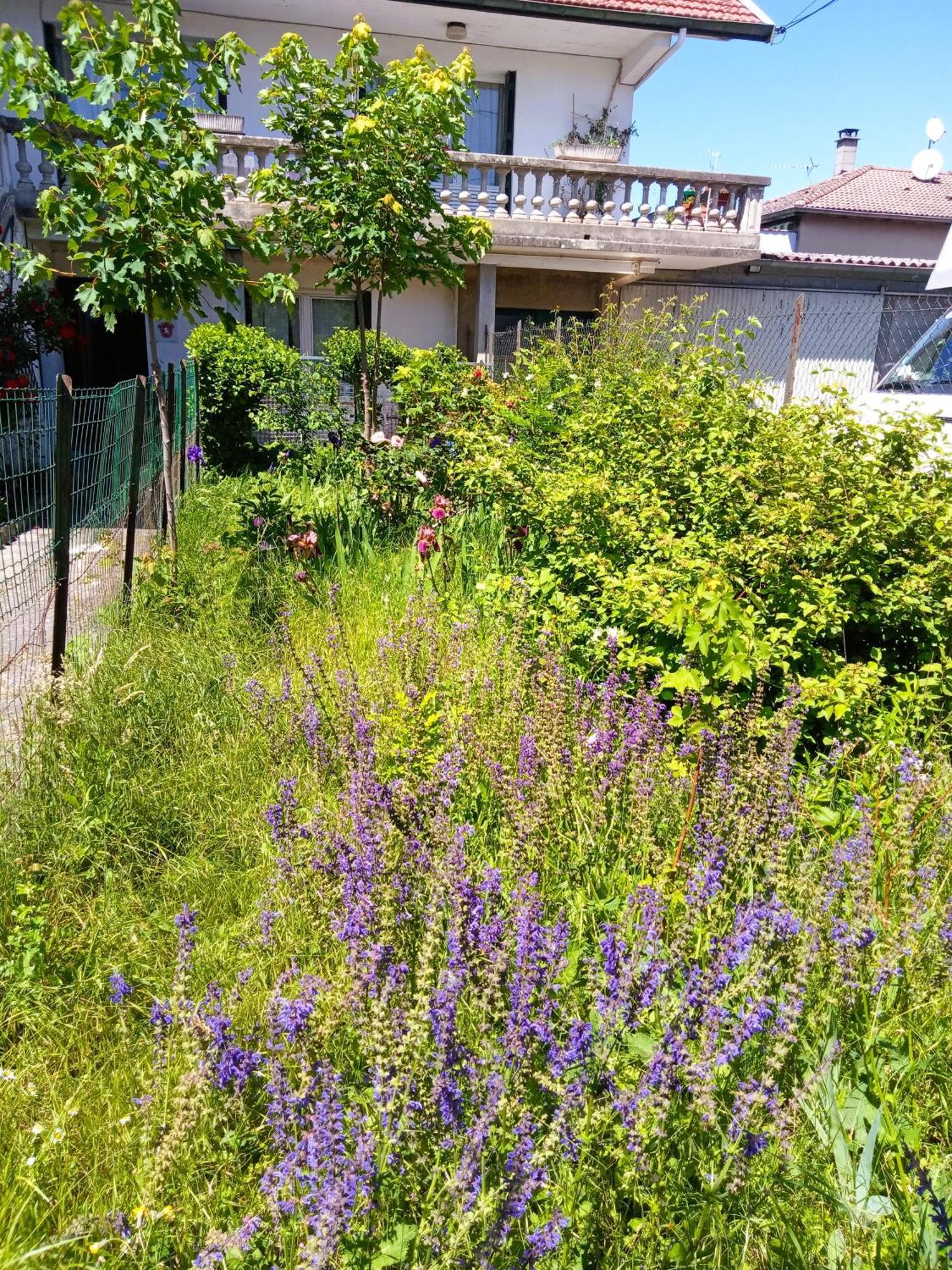 Rosalie Cottage Beaurepaire  Extérieur photo